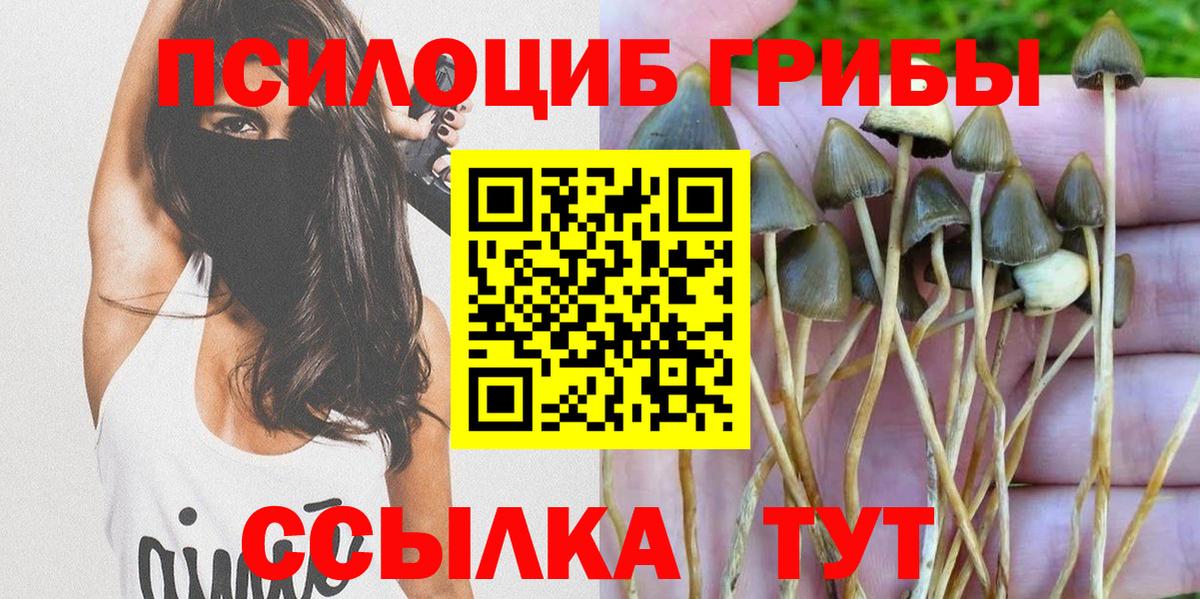 Псилоцибиновые грибы ЛСД  Вход с VPN  Кемерово  Псилоцибиновые грибы прущие грибы 